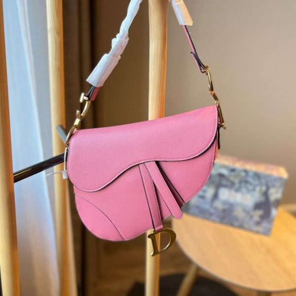 디올 saddle 스트랩 백