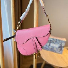 디올 saddle 스트랩 백